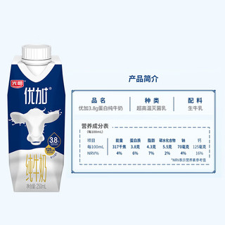 Bright 光明 优加纯牛奶 原生乳蛋白  3.8g｜250ml梦幻盖10盒