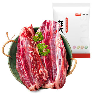 龙大美食 原切牛腱子1kg（带腱子芯）安格斯黑牛肉烧烤食材 生鲜牛肉