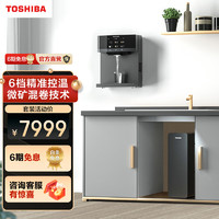 东芝（TOSHIBA）壁挂式管线机家用净水器伴侣 全管路杀菌 壁挂式饮水机组套 TG-12+TFC800