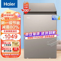 Haier 海尔 冰柜家用小冰柜 100升