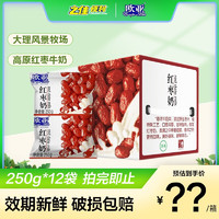 欧亚（Europe-Asia）纯牛奶200g/250g*16盒/12袋整箱 云南高原牧场营养早餐奶制品乳品 红枣奶250g*12袋