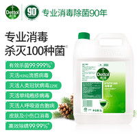 Dettol 滴露 消毒液消毒水衣物除菌液 衣服洗衣机地板杀菌消毒剂喷雾