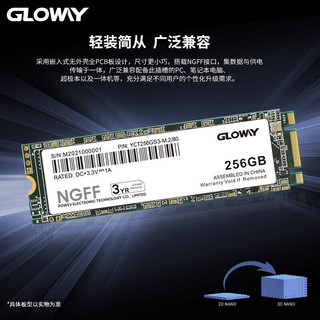 光威（Gloway）256GB SSD固态硬盘 M.2接口 SATA总线 NGFF 2280