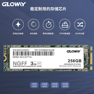 光威（Gloway）256GB SSD固态硬盘 M.2接口 SATA总线 NGFF 2280