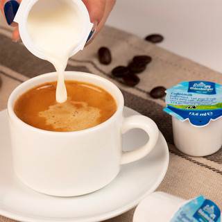 欧德堡 德国黑咖啡伴侣香醇奶球13.6ml独立包装 全脂牛奶非植脂奶包 10颗装
