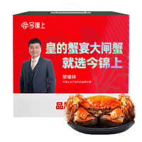 今锦上 大闸蟹螃蟹礼盒 公6.0-6.3两 母3.8-4.1两4对8只