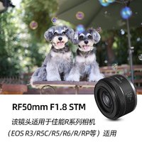 Canon 佳能 RF 50mm F1.8 STM单反全画幅小痰盂镜头 标准定焦镜头大光圈人像