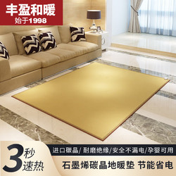 丰盈和暖 碳晶电热地毯 韩国家用地暖垫榻榻米垫 取暖垫地热垫 电加热瑜伽垫座垫 250