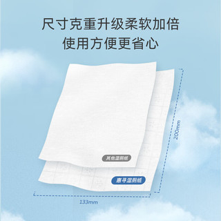 惠寻京东自有品牌 湿厕纸家庭装3包*40片（120片）温和杀菌 清洁湿纸