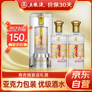 WULIANGYE 五粮液 股份一尊天下经典52度浓香型白酒500ml