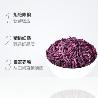 盖亚农场 云南紫米1kg面包棒原料五谷杂粮墨江紫糯米血黑饭团