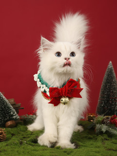 猫咪衣服宠物围脖布偶项圈猫猫帽子小猫秋冬装饰冬季狗狗围巾圣诞