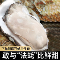 峰贝山东乳山大生蚝 鲜活到家保活贝类 新鲜海蛎子 牡蛎烧烤食材滋补 4XL号净重4.5斤装（约10-14只）