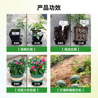 花木盛花肥家用盆栽通用缓释肥颗粒通用花卉绿植控释肥有机营养基
