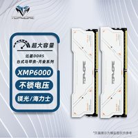 TOPMORE 达墨 DDR5内存马甲条套条镁光海力士颗粒xmp6000