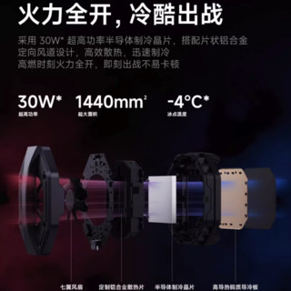 Xiaomi 小米冰封散热背夹 Type-C 黑色