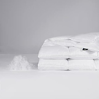 Serta Down Illusion 羽绒替代超保暖棉被,单人床 XL 码,白色