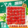 卉双【多地次日达】红颜奶油大草莓新鲜现摘当季水果礼盒非丹东九九 2斤【 净重1.5斤】