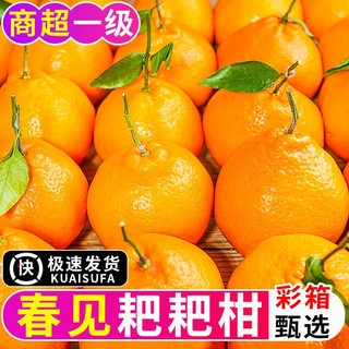 百亿补贴：御品一园 春见耙耙柑彩箱净重4.5斤果径75mm现摘大果新鲜水果丑粑粑橘桔子