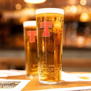 TENNENT 替牌拉格精酿 黄啤酒 整箱 英国进口 替牌500ml*12听 新旧包装随机发货