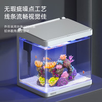 新手懒人鱼缸：BIOZYM/百因美 三合一鱼缸 32.6cm长