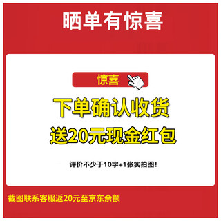 雷士（NVC）法式风吊线吊灯客厅灯餐厅灯卧室灯床头小吊灯灯具灯饰 翩舞 松果型吊灯【需另购光源】