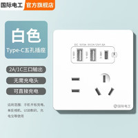 fdd 国际电工 双USB插座面板 五孔2.1A