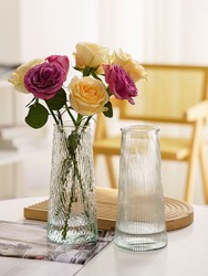 姝好 北欧风简约玻璃花瓶水养水培绿植鲜花插花瓶餐桌客厅装饰摆件
