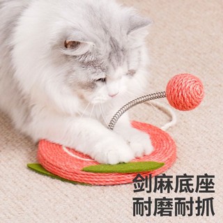 zeze 水果弹簧球猫玩具逗猫棒自嗨解闷耐咬逗猫玩具猫咪用品