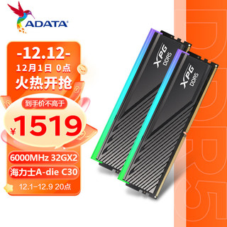 ADATA 威刚 64GB(32GBX2)套装 DDR5 6000 台式机内存条 海力士A-die颗粒 XPG龙耀D300G（黑色）C30