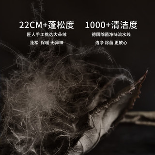 霞珍【羽绒被】95鹅绒被子保暖冬被 雅鲁灰1100g 220*240cm