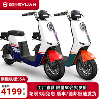 深远 SYUAN电动车磷酸铁锂锂电池电瓶车长跑王代步新国标电动自行车
