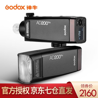 Godox 神牛 AD200pro大功率外拍灯单反闪光灯摄影灯锂电池高速TTL 口袋灯 官方标配