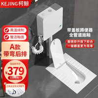 柯鲸卫浴蹲便器套装卫生间防臭大冲力蹲便器带盖板蹲厕蹲坑翻盖蹲便器 A款 带弯后排+水箱+喷枪