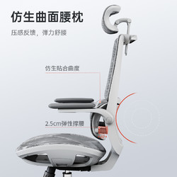 SIHOO 西昊 M59 全网款人体工学椅 网座+3D扶手+头枕