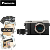Panasonic 松下 GX9 微单/单电/无反数码照相机4K高清录制 GX9单机身（银）+20mm定焦