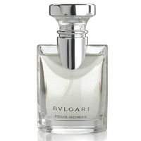 BVLGARI 宝格丽 大吉岭茶男士香水淡香100ml木质香调礼物