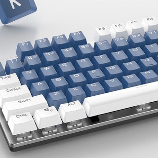 PHILIPS 飞利浦 SPK8404 108键 有线机械键盘 白深蓝拼色 国产茶轴 混光