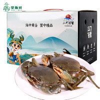 掌昕鲜 三门青蟹 处子蟹（3.5-4.5两/只）8只 肉鲜少黄 生鲜螃蟹海鲜水产送礼盒