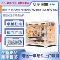 COLORFUL 七彩虹 Intel i7 14700KF/14600KF/RTX4070电竞游戏DIY电脑组装机