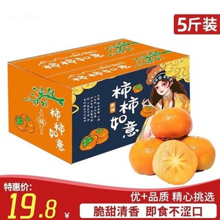 飘香果度 新鲜脆柿子 礼盒装 5斤中果