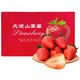  鲜其 奶油草莓 红颜草莓 单果20G+ 1.5斤+京东顺丰配送　