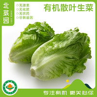 北菜园生菜有机散叶生菜250g有机蔬菜【进店多样加购】火锅食材