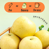 FUSIDO 福事多 梨汁条装冲水水果膏梨膏便携分享老人孩子零食 20g（2条）