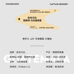 CAPTAIN GEORGE 乔治队长 冬季上新 危地马拉 茵赫特 马拉维瑰夏 100g