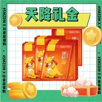 EARISE 雅兰仕 冬日暖贴 60片