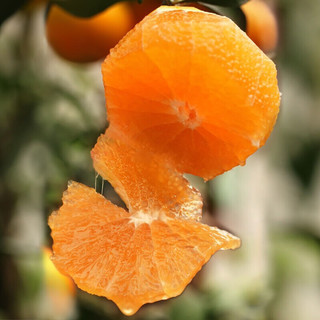 鑫佳叶（xingjiaye）湖南纽荷尔脐橙 新鲜橙子 榨汁橙 小果 60-65mm5斤