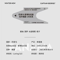 CAPTAIN GEORGE 乔治队长 冬季上新 巴拿马 黛博拉 瑰夏 水洗 咖啡豆100g