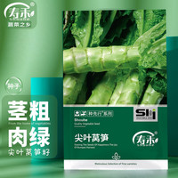 寿禾shouhe 莴笋种子尖叶冬季青笋蔬菜种籽 潍育系列尖叶莴笋种子10g