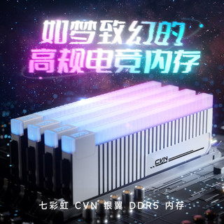 COLORFUL 七彩虹 CVN·银翼系列 DDR5 6000MHz RGB 台式机内存 灯条 32GB 16GBx2 C30